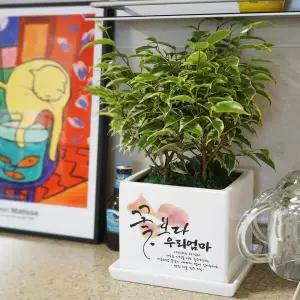 [생일화분 와이프 생신축하 환갑 기념일 축하화분] 꽃보다 OOO 메세지화분