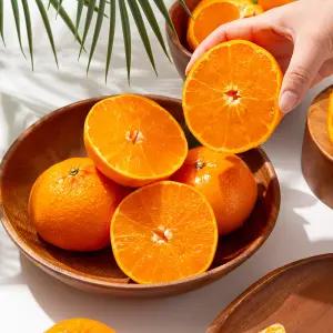 [더조은푸드] 제주 서귀포 노지 천혜향 (혼합과) 10kg