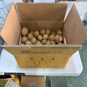 강원도 씨감자 두백 4kg 10kg 20kg 보급종 정품종자