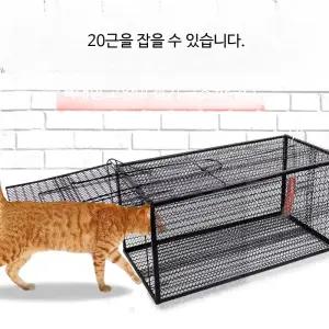 야생동물 포획틀 길고양이 강아지 너구리 TNR용 접이식 철망 트랩 블랙 50X25X25