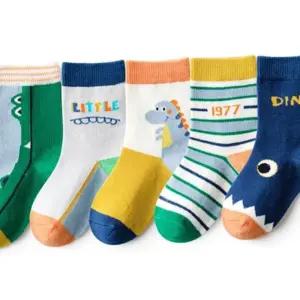R88 아동양말 가을 리틀디노 중목 5족세트 면양말 유