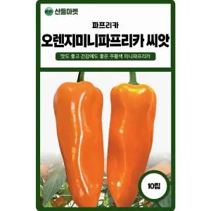 다농 오렌지미니 파프리카 씨앗 10립 맛좋고 건강에도 좋은 파프리카씨 종자