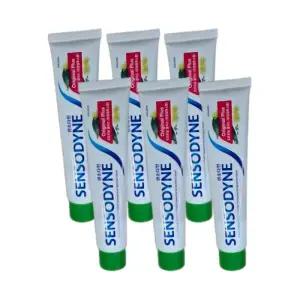 센소다인 오리지날 플러스 민감성 시린이 치약 100g x 6개