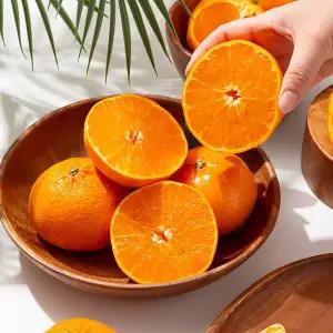 [더조은푸드][더조은] 제주 서귀포 노지 천혜향 (혼합과) 3kg