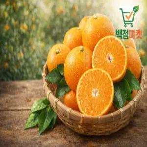 백점마켓 엄선 제주 천혜향 고당도 프리미엄 감귤 3kg