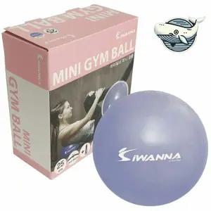 요가 필라테스 미니 짐볼 25cm 운동균형 공