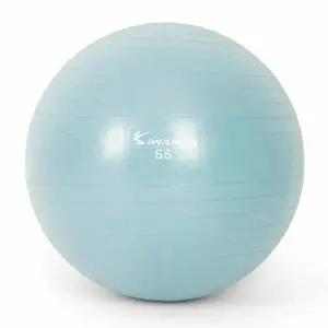 아이워너 안티버스트 짐볼 55cm 더스티 블루 다이어트