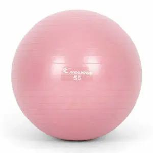 아이워너 안티버스트 짐볼 55cm 와일드 핑크 다이어트