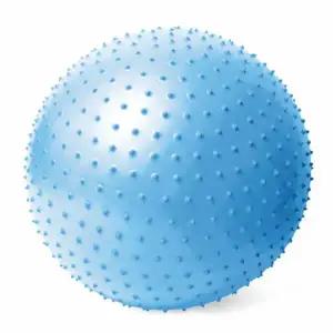 마사지짐볼 마사지볼 알래스칸 마사지짐볼 65cm 블루