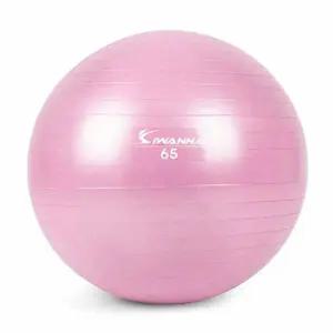 아이워너 안티버스트 짐볼 65cm 라일락 퍼플 다이어트