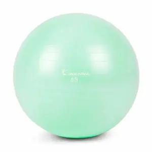 아이워너 안티버스트 짐볼 65cm 라임 크림 다이어트