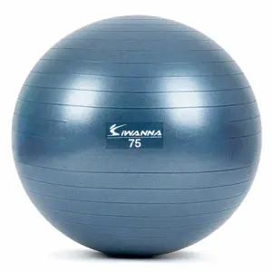 아이워너 안티버스트 짐볼 75cm 블루 인디고 홈트운동