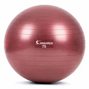 와인 루비 다이어트75cm 마사지짐볼 마사지볼