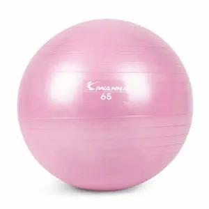 마사지짐볼 65cm 라일락 퍼플 마사지볼 다이어트짐볼