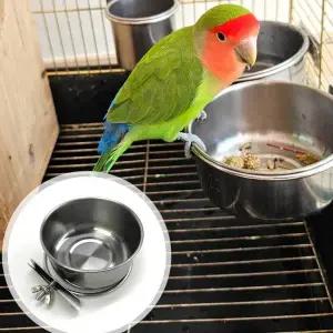 걸이형 스텐 앵무새 모이통 중 앵무새목욕