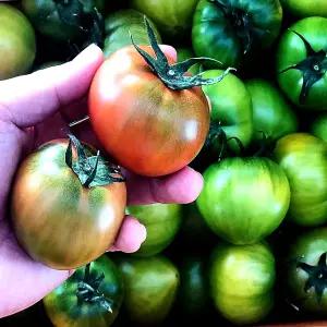 부산 대저동 대저토마토 2.5kg(5~7번과)/2S~3S 로얄과