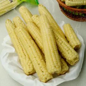 데워서 바로 먹는 냉동 괴산 대학찰옥수수 3개입x10봉(30개)