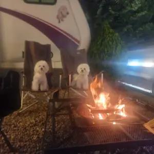 [인천 펜션] 대부도(영흥도) 모모카라반 (강화,옹진)