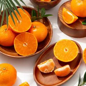 [더조은푸드] 제주 서귀포 노지 천혜향 (혼합과) 5kg