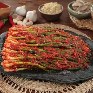 (온) 알토란 맛의공식 파김치 1kg