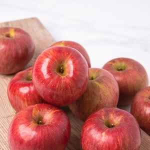 [충주씨샵]GAP 충주사과 5kg(17~19과내)