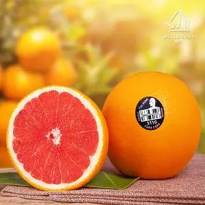 카라카라 레드 오렌지 8kg(42과내외,개당180g내외)