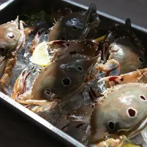 A급 삼점게 알배기 3kg 60/80 80/100 100/150 150/200 간장게장 암게/숫게