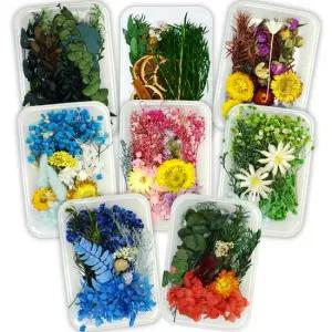 프리저브드 플라워 재료-옵션