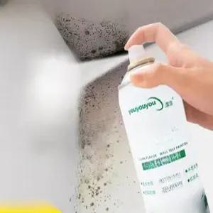 베란다 탄성코트 스프레이 수리 외벽 제거 오염 도색 결로방지 실내 페인트 곰팡이