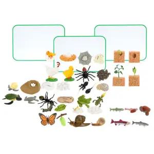 초등 자연관찰 수업용 다양한 동물의 한살이 미니어쳐 피규어 9종 + 보드판세트 선물