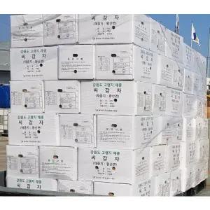 씨감자 수미4kg 10kg 20kg 보급종 강원도 고랭지 감자심기