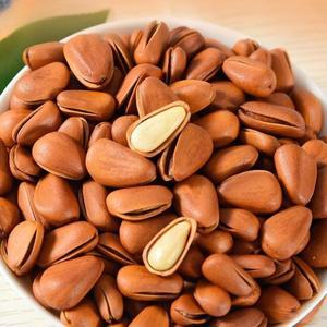 앵무새간식 견과류 피잣 잦 껍질잣 안깐잣 파인넛 체험 앵무새먹이