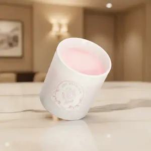 피에브 에어워셔 냄새 제거 고체 탈취제 머스크향 250g 1개