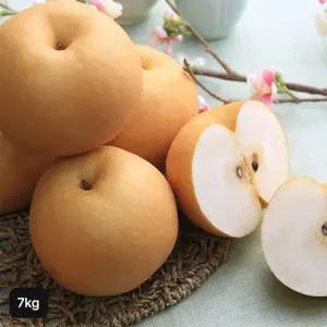 내입에 못난이 나주배 7kg