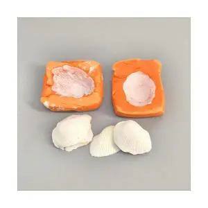 석고를 이용한 조개화석 만들기(4인세트)