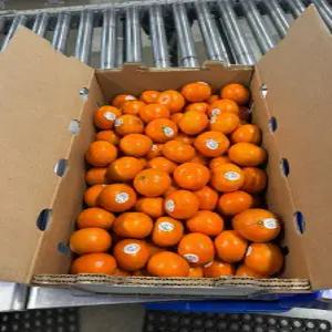 프리미엄 고당도 만다린 귤 10KG