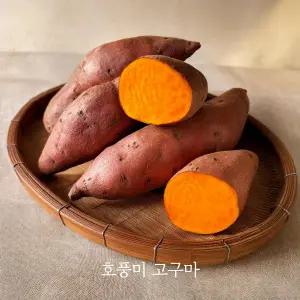 2025년 고구마 호풍미 호박고구마 국산