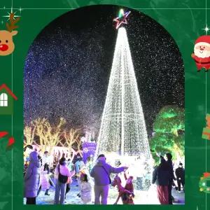 [청도] 프로방스 자유이용권/청도/경북/경북가볼만한곳/데이트/여행/관광/야경/아이와함께/청도가볼만한곳