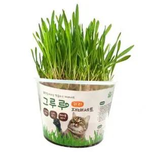 고양이 풀 반려동물 애완 기르기 고양이 캣 그라스 씨앗 키트 키우기 간식용 발육기 용품 식물 헤어 캣닢