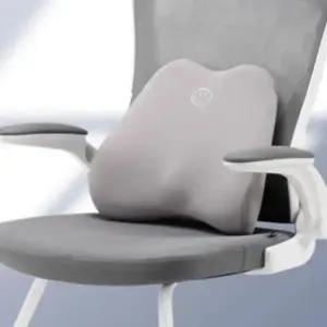 침대등받이쿠션 다용도 사이언스 디비전 허리받침 등받이쿠션