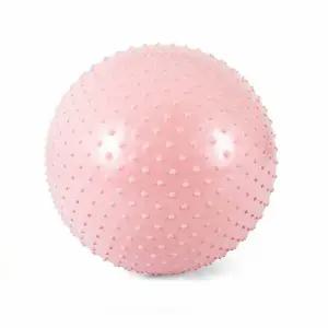 아이워너 운동 마사지 짐볼 65cm 베이비핑크