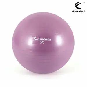 다이어트 짐볼 65cm 헬스 짐볼 라일락
