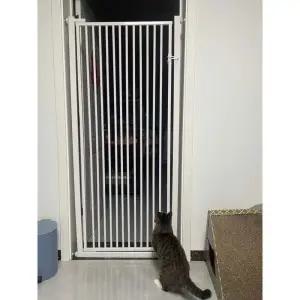 방범창 고양이방범창 안전문 고양이 애견 개문 화이트