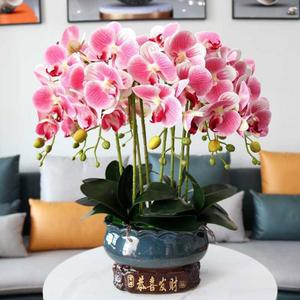 행운 호접란 서양란 조화화분 화분 인조 인테리어 조화 서양난