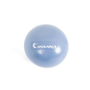 아이워너 미니짐볼 25cm 스트레칭 공운동 펌프포함