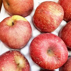 가정용흠집 경북 꿀 사과 소꼬마과 (29-31과) 5kg