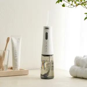 알로코리아 덴픽션 휴대용 무선 프리미엄 구강세정기 AWF1R 물치실 칫솔 치간 세척기