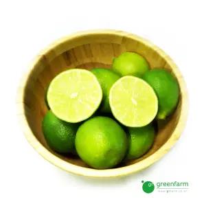 생 라임 3kg (30~36개)