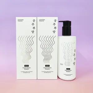 가히 공주부양 엑스트라 볼륨 부스터 샴푸 500ml 2개