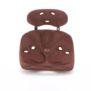 에스백 프로 영 자세교정의자 허리교정 요추지지 척추 디스크 보호 좌식의자